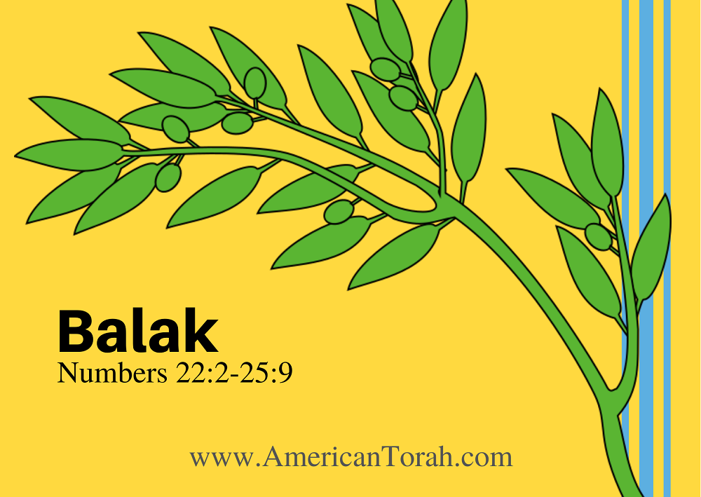 Parsha Balak - Apostolic Readings, Links, and Videos - American Torah