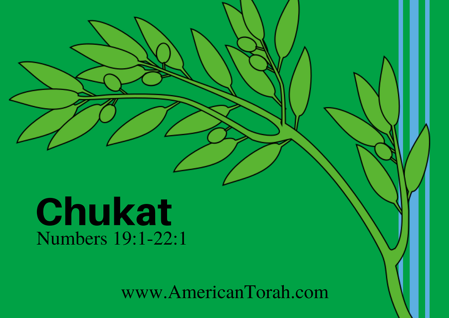 Parsha Chukat - Apostolic Readings, Links, and Videos - American Torah