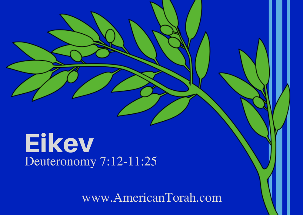 Parsha Eikev - Apostolic Readings, Links, and Videos - American Torah