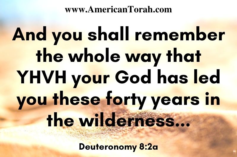 Welcome to the Wilderness - American Torah