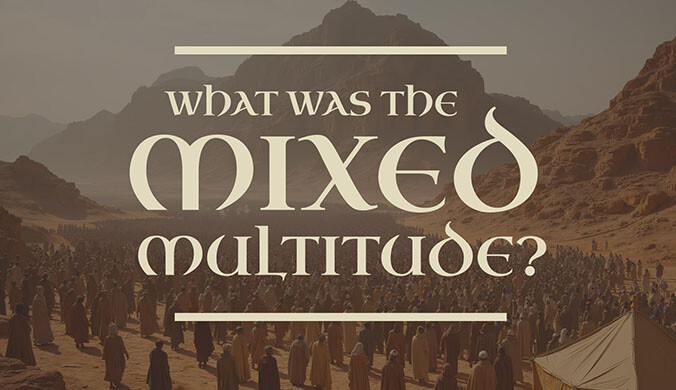 WHAT WAS THE MIXED MULTITUDE