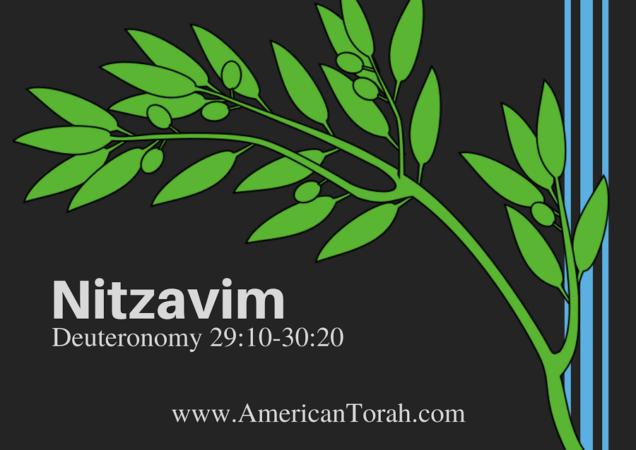 Parsha Nitzavim - Apostolic Readings, Commentary, and Videos - American Torah