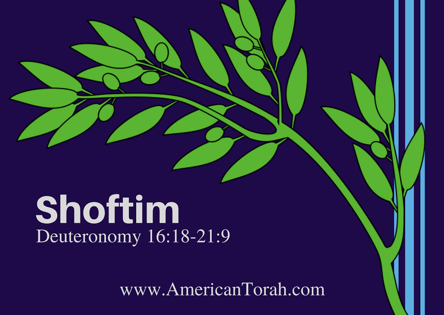 Parsha Shoftim - Apostolic Readings, Commentary, and Videos - American Torah