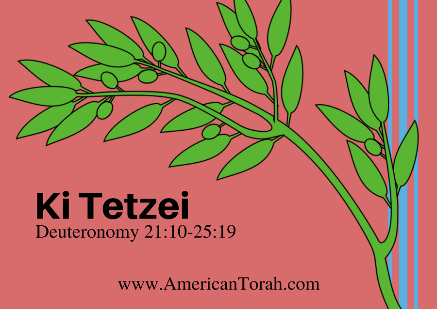 Parsha Ki Tetzei - Apostolic Readings, Commentary, and Videos - American Torah