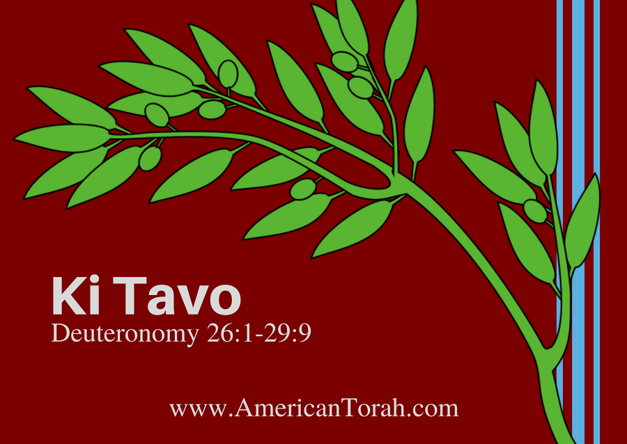 Parsha Ki Tavo - Apostolic Readings, Commentary, and Videos - American Torah