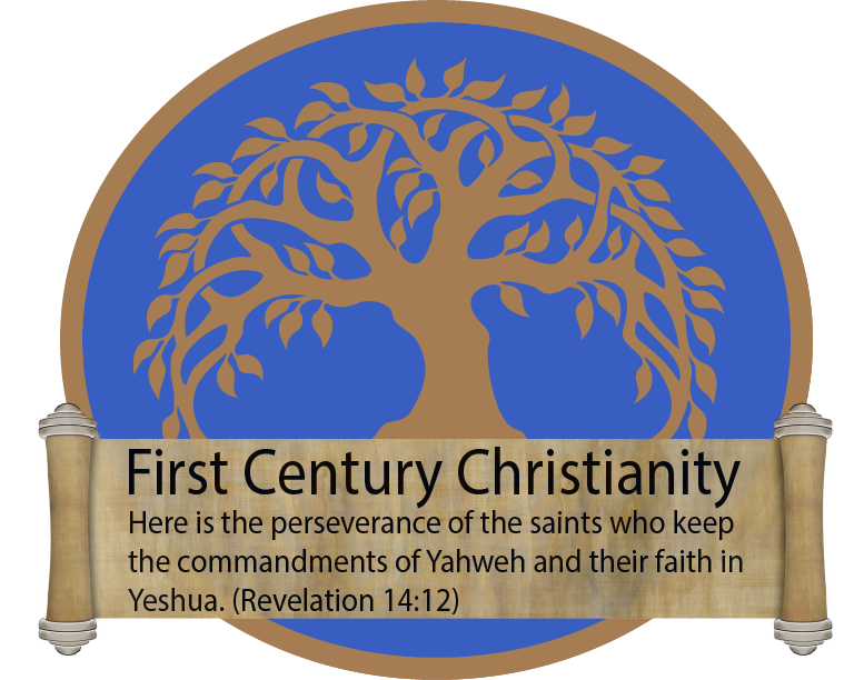 First Century Christianity - First Century Christianity