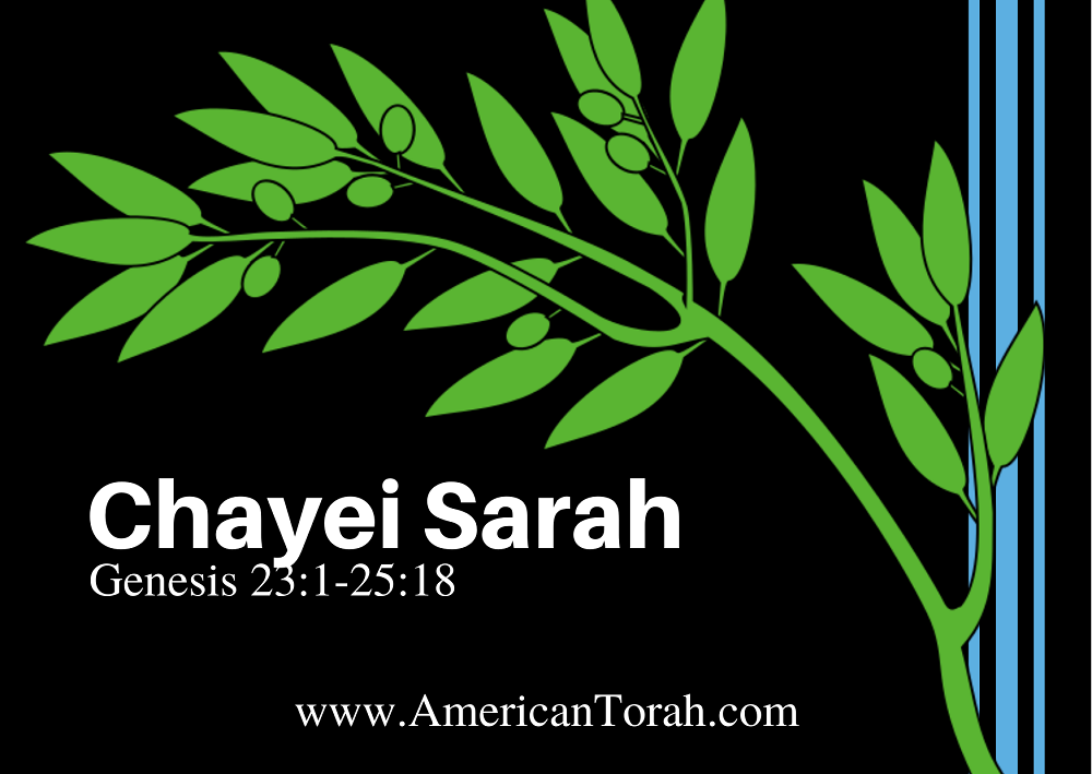 Parsha Chayei Sarah - Apostolic Readings, Commentary, and Videos - American Torah