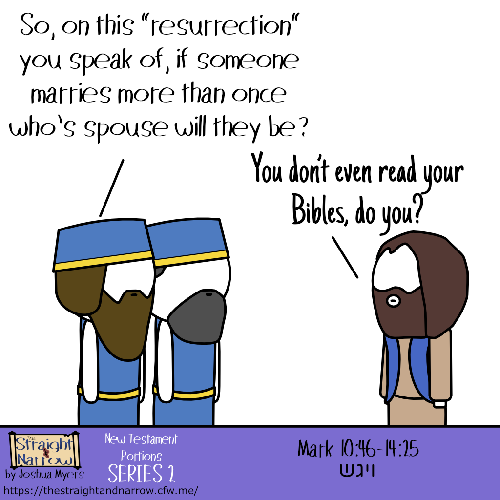 The Straight + Narrow - New Testament Portions Series 2: ויגש (He approached)