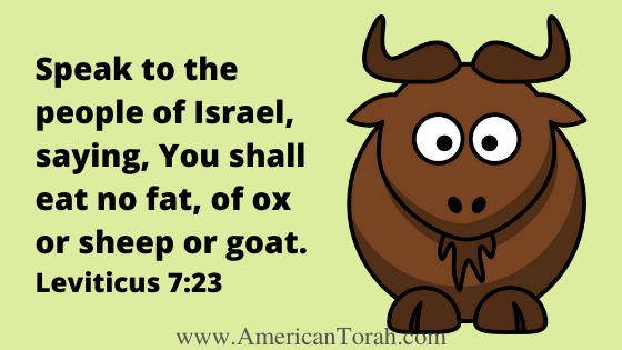 Go Ahead and Chew that Fat - American Torah