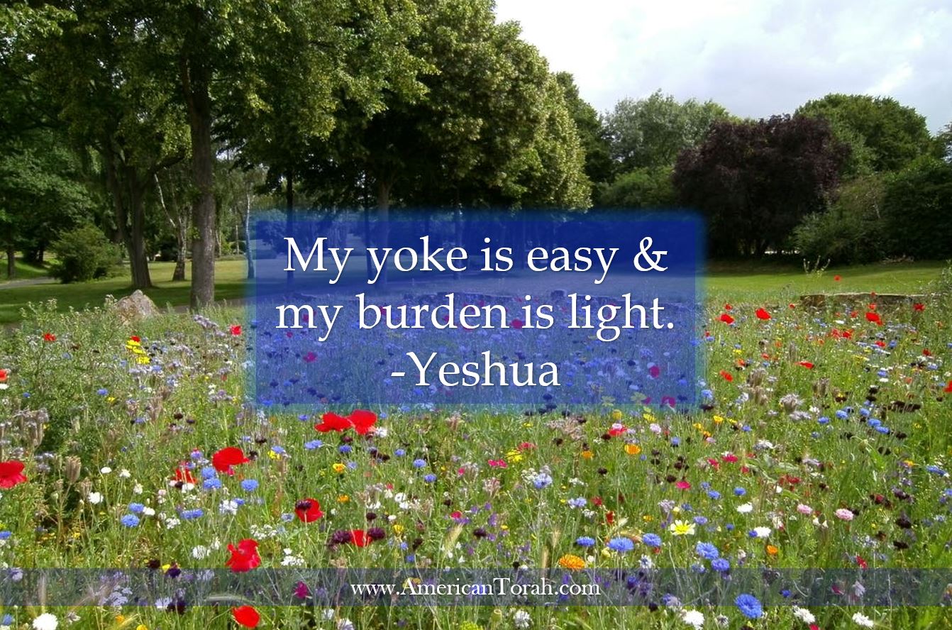All About the Weekly Sabbath - American Torah