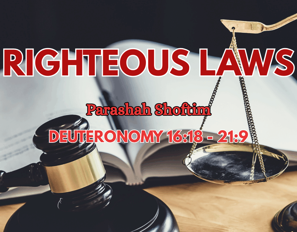 The Call to Obey, Not to Excuse | A Rood Awakening