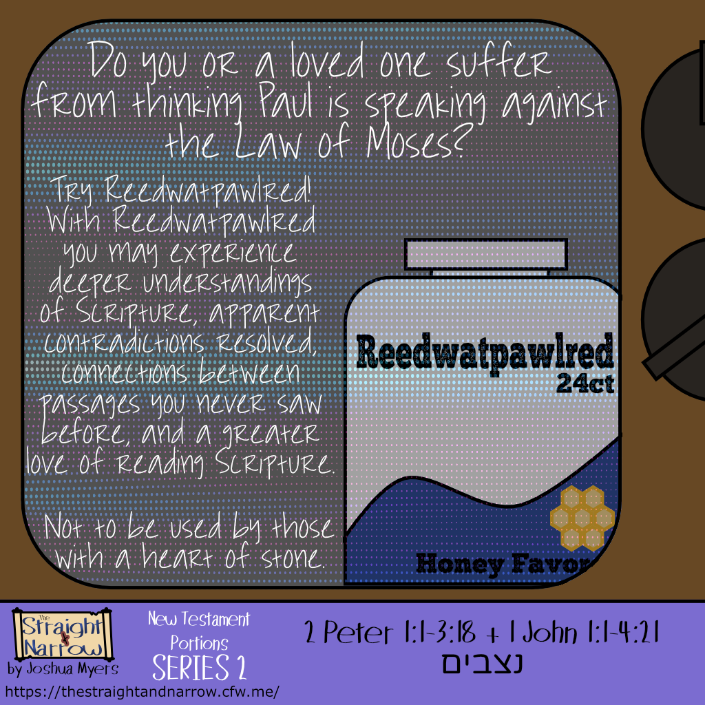 The Straight + Narrow - New Testament Portions Series 2: נצבים (Standing)