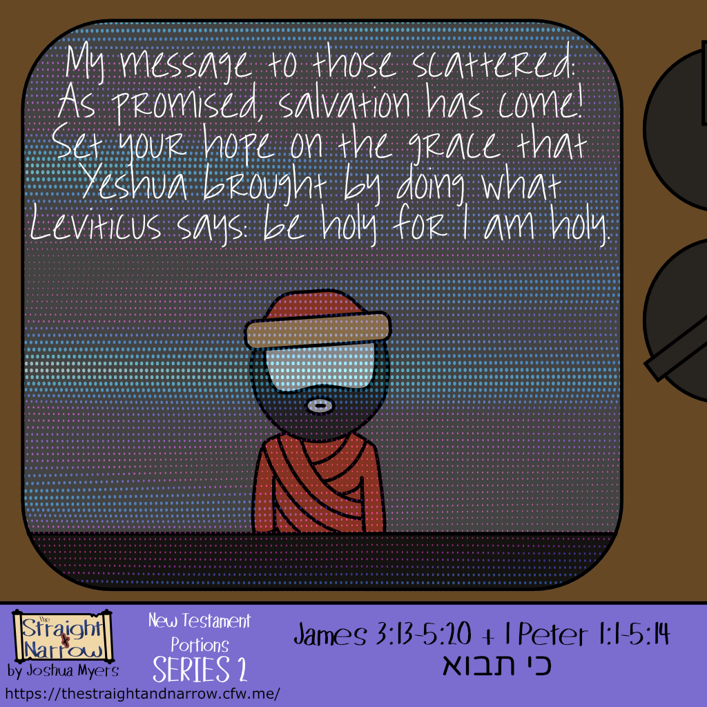 The Straight + Narrow - New Testament Portions Series 2: כי תבוא (When you come in)